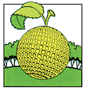 Betuws Golfcentrum De Batouwe logo